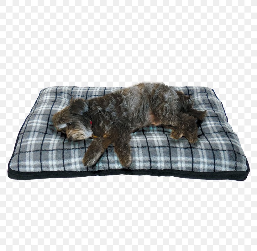 Dog Crate Cushion Mattress Bed, PNG, 800x800px, Dog, Bed, Bedding, Bolster, Cushion Download Free