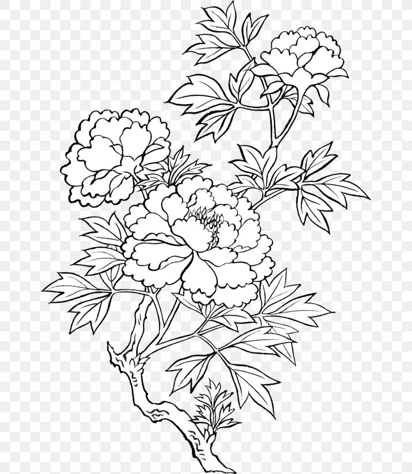 Drawing Peony Sketch, PNG, 658x944px, Drawing, Area, Art, Black And White, Branch Download Free