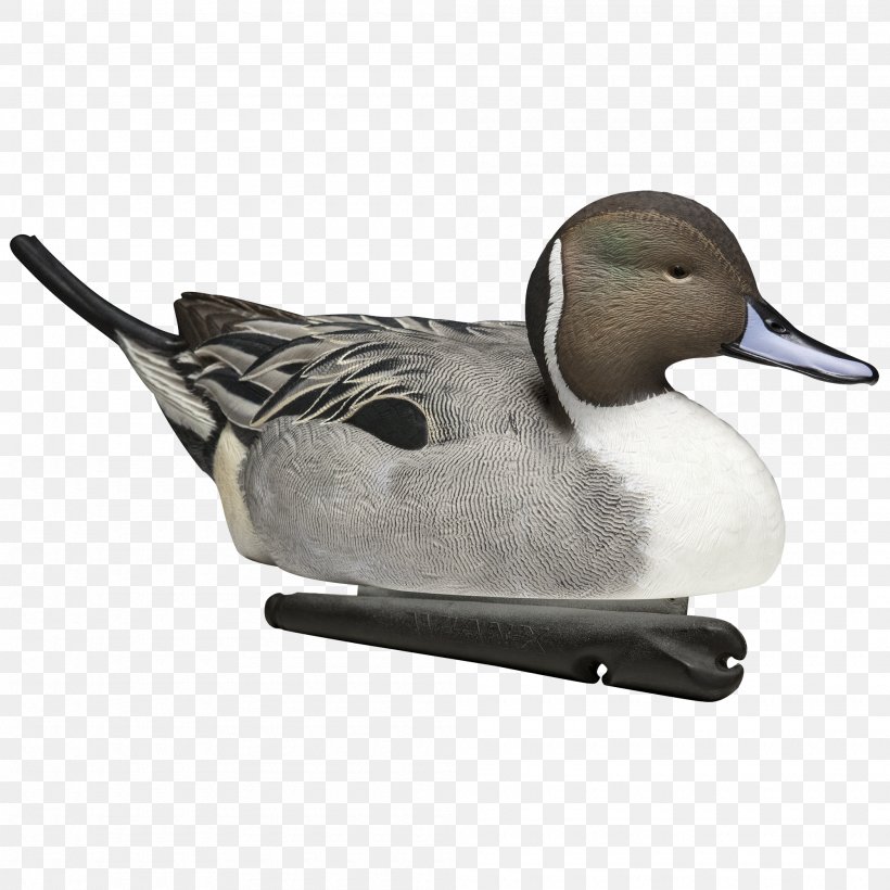 Mallard Duck Decoy Duck Decoy Goose, PNG, 2000x2000px, Mallard, Anseriformes, Beak, Bird, Canada Goose Download Free