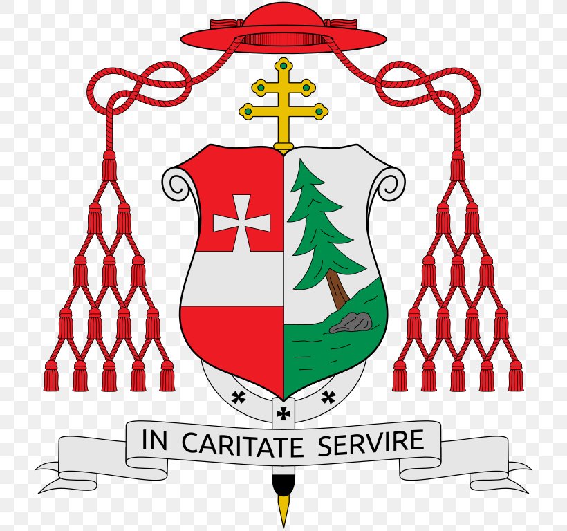 Roman Catholic Archdiocese Of Cebu Cardinal Coat Of Arms Roman Catholic Archdiocese Of Manila Catholicism, PNG, 724x768px, Cardinal, Area, Artwork, Bishop, Catholicism Download Free