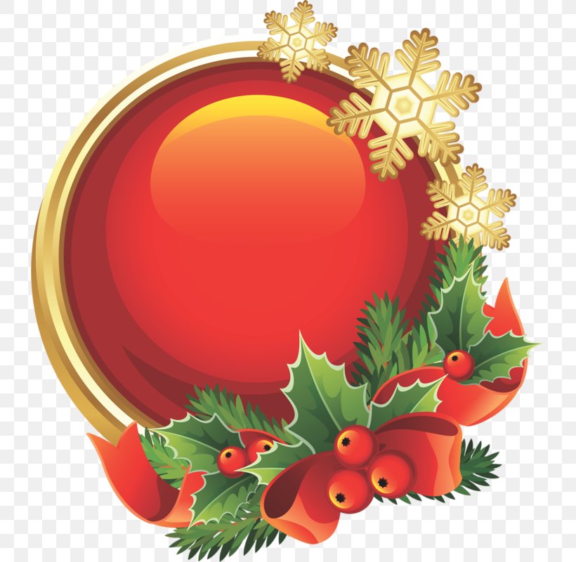 Christmas And New Year Background, PNG, 732x800px, New Year, Blog, Christmas Day, Christmas Decoration, Christmas Ornament Download Free