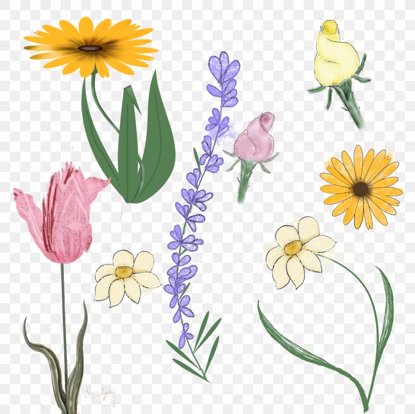 Floral Design Cut Flowers Petal Clip Art, PNG, 1600x1600px, Floral Design, Art, Cut Flowers, Daisy, Flora Download Free