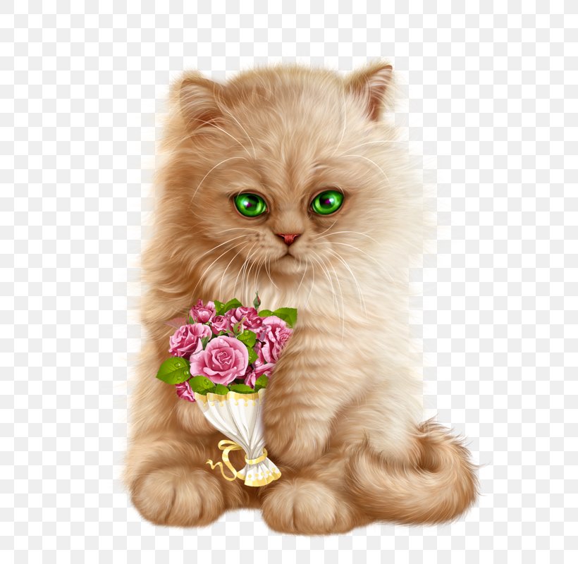 Flower Pink, PNG, 586x800px, Persian Cat, Animal, British Longhair, British Shorthair, Cat Download Free