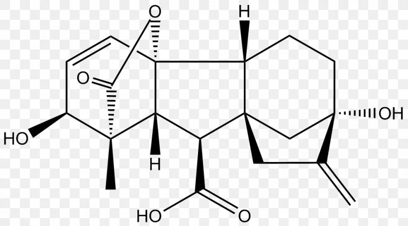 Gibberellin Gibberellic Acid Plant Hormone Chemistry, PNG, 989x551px, Gibberellin, Acid, Area, Auxin, Black And White Download Free
