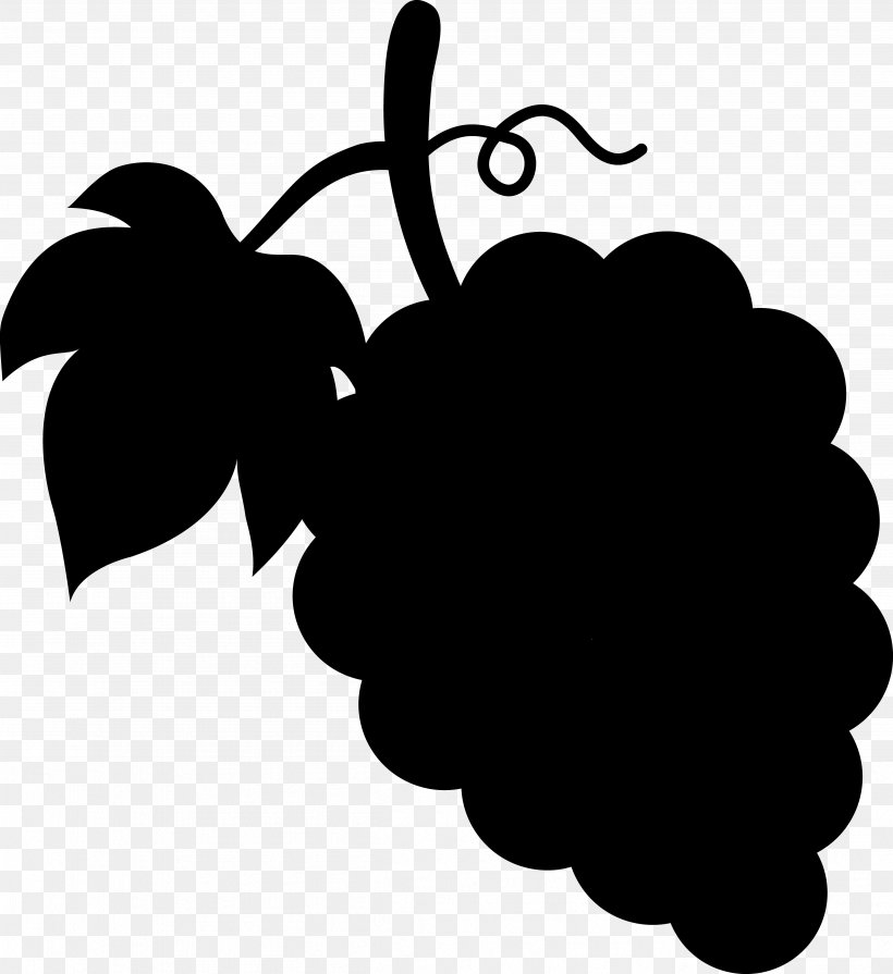 Grape Leaves Fruit Clip Art Vine, PNG, 4801x5243px, Grape, Blackandwhite, Branching, Flower, Fruit Download Free