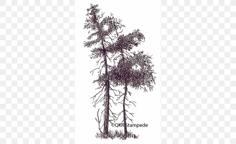 Larch Spruce Fir Pine Houseplant, PNG, 500x500px, Larch, Branch, Conifer, Fir, Houseplant Download Free