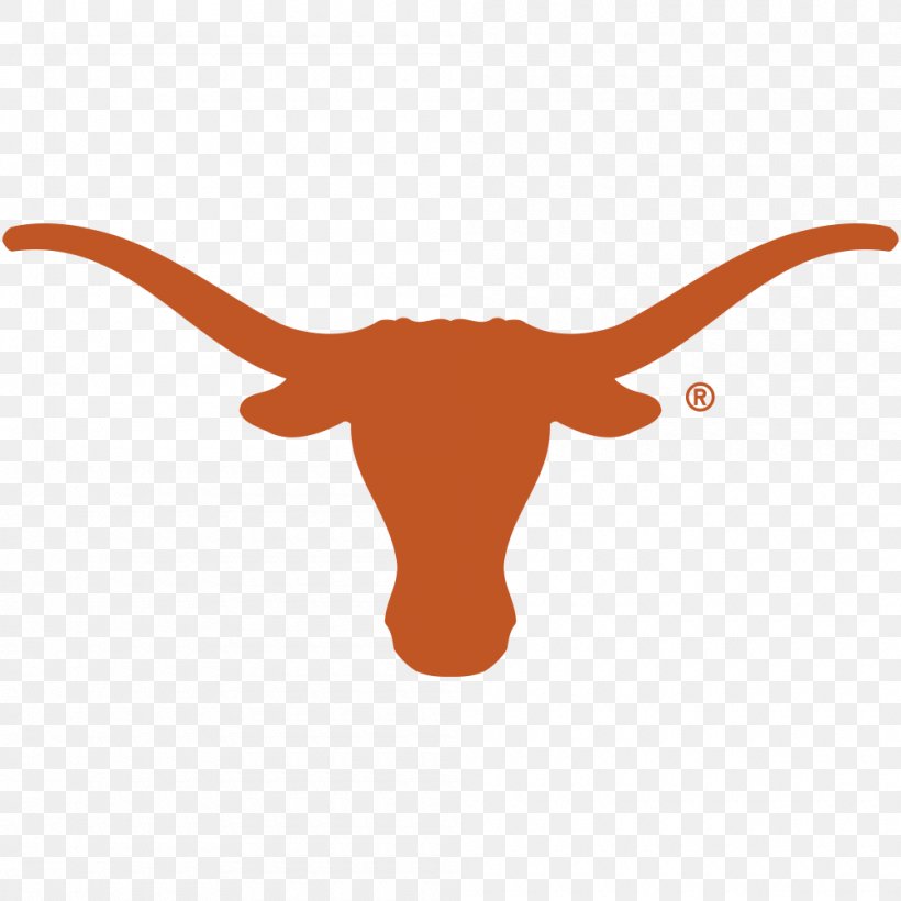 Texas Longhorns Football Texas Longhorns Women's Basketball Texas Longhorns Men's Basketball Texas Longhorns Baseball, PNG, 1000x1000px, Watercolor, Cartoon, Flower, Frame, Heart Download Free