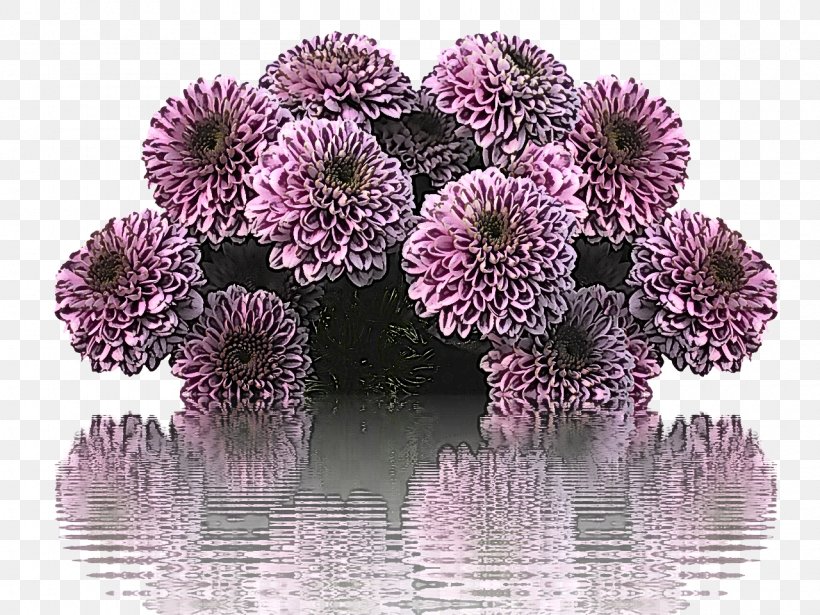 Flower Purple Plant Violet Flowering Plant, PNG, 1280x960px, Flower, Flowering Plant, Petal, Plant, Purple Download Free