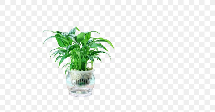 Flowerpot Houseplant Desk Humidifier, PNG, 640x426px, Flowerpot, Capital City, Database, Desk, Grass Download Free