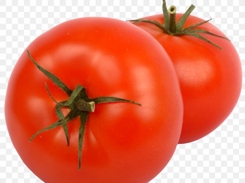 Plum Tomato Bush Tomato Vegetarian Cuisine Clip Art, PNG, 1024x768px, Plum Tomato, Bush Tomato, Diet Food, Food, Fruit Download Free