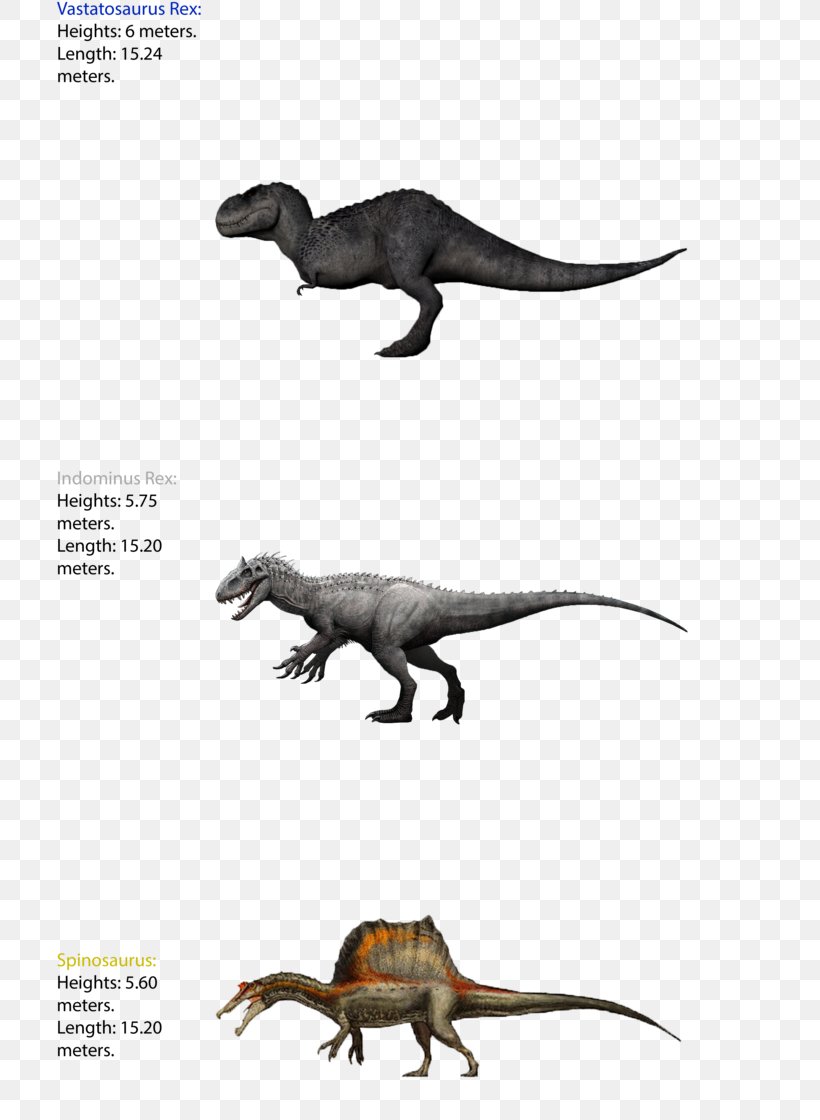 Tyrannosaurus Dinosaur Size Spinosaurus Giganotosaurus Carnotaurus, PNG, 714x1120px, Tyrannosaurus, Animal, Carnotaurus, Dinosaur, Dinosaur Size Download Free