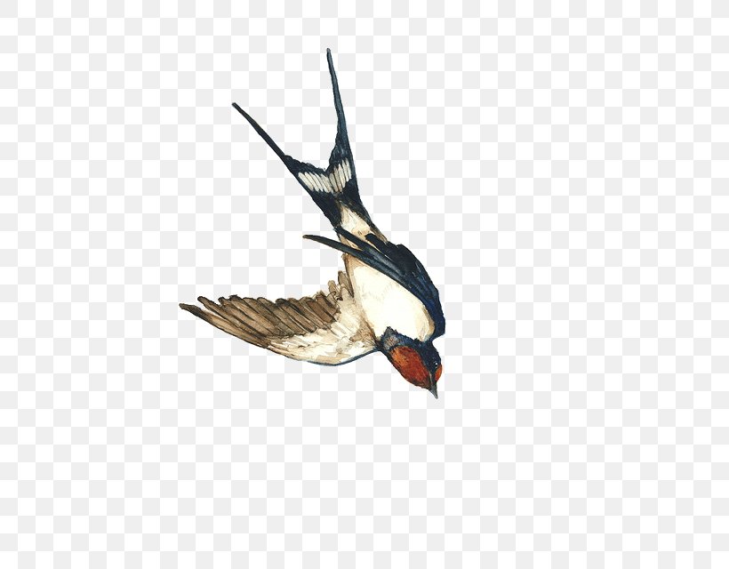 Watercolor Painting Duck, PNG, 447x640px, Watercolor Painting, Art, Arts, Beak, Bird Download Free