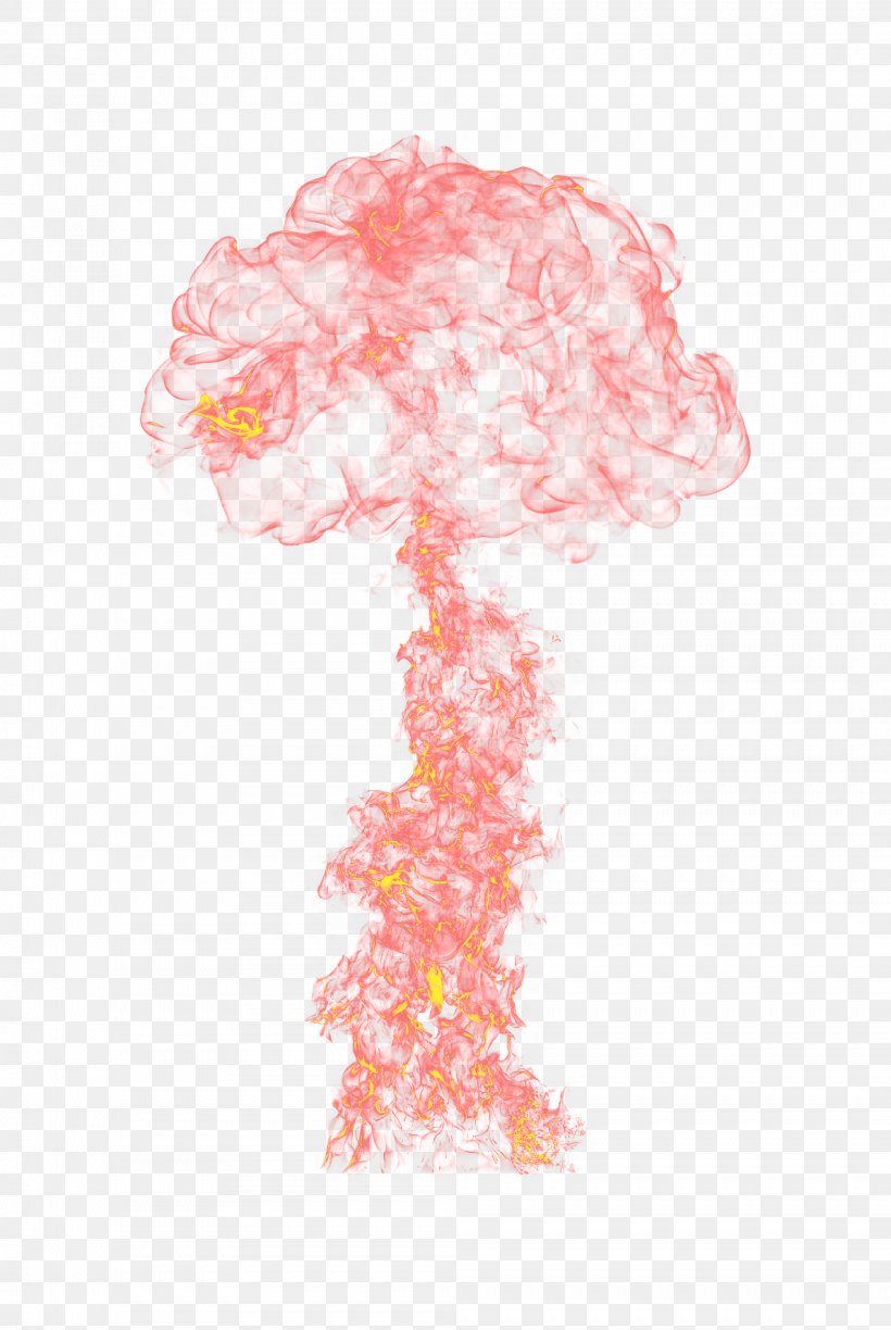 Flame Google Images Combustion, PNG, 2009x3000px, Flame, Clothing, Combustion, Explosion, Google Images Download Free