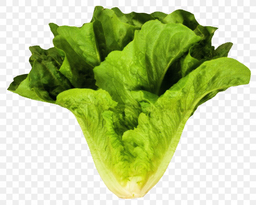 Leaf Vegetable Vegetable Lettuce Romaine Lettuce Iceburg Lettuce, PNG, 1000x800px, Leaf Vegetable, Food, Iceburg Lettuce, Leaf, Lettuce Download Free