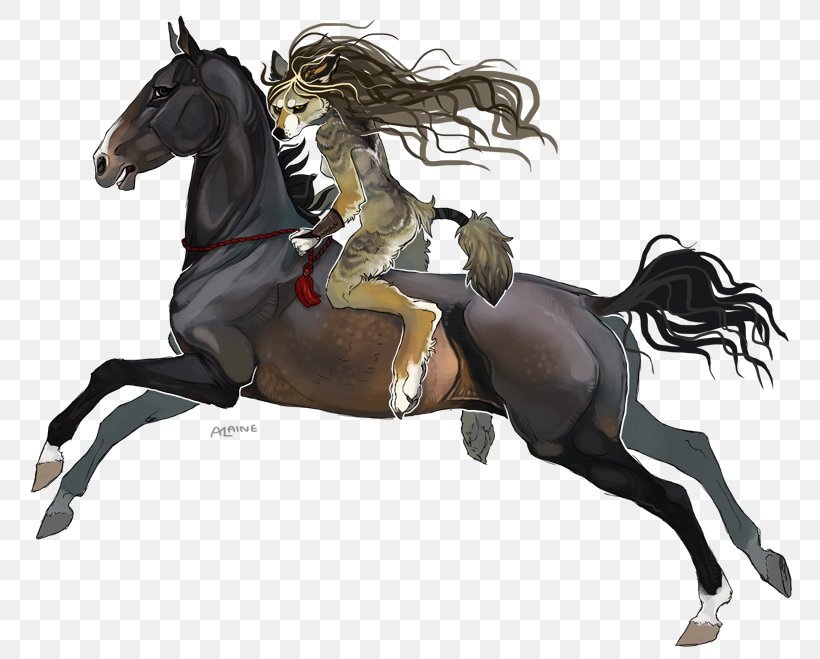Mustang English Riding Rein Stallion Equestrian, PNG, 800x659px, Mustang, Bridle, English Riding, Equestrian, Equestrian Sport Download Free