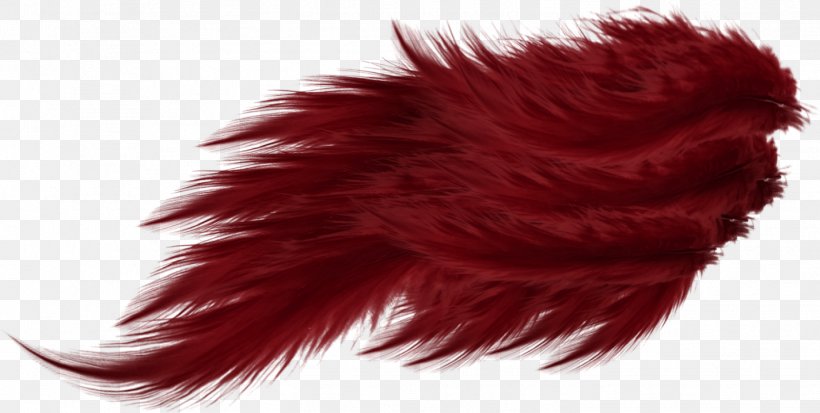 Red Feather Wing, PNG, 1424x718px, Red, Designer, Drawing, Editing, Feather Download Free