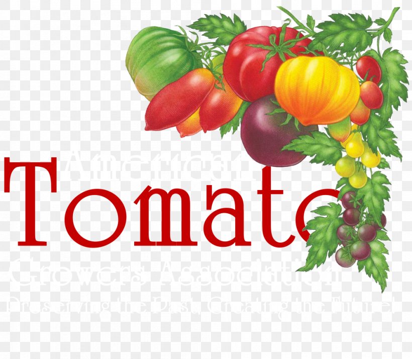 Tomato Soup Brandywine Italian Tomato Pie Organic Food Heirloom Tomato, PNG, 995x867px, Tomato Soup, Brandywine, Bush Tomato, Cherry Tomato, Diet Food Download Free