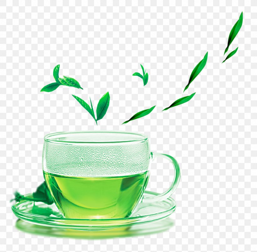 Green Tea Yum Cha The Classic Of Tea Meitan County, PNG, 1693x1662px, Tea, Black Tea, Camellia Sinensis, Catechin, Classic Of Tea Download Free