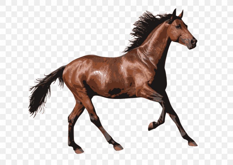 Horse Racing Pony, PNG, 1024x724px, Horse, Animal Figure, Bridle, Colt, Equestrian Download Free