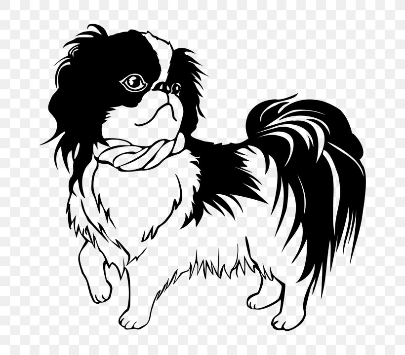 Shih Tzu Japanese Chin Shiba Inu Puppy Line Art, PNG, 720x720px, Shih Tzu, Art, Artwork, Beak, Black Download Free