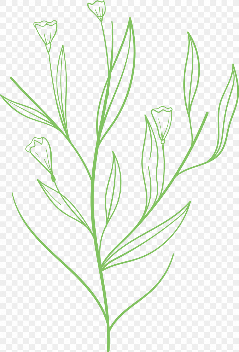 Simple Leaf Simple Leaf Drawing Simple Leaf Outline, PNG, 1659x2445px, Simple Leaf, Biology, Branch, Commodity, Flower Download Free