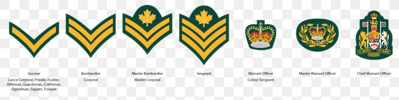 Army Cadet Force Military Rank Medicine Hat Organization, PNG, 1240x314px, Cadet, Army Cadet Force, Brand, Canada, July Download Free