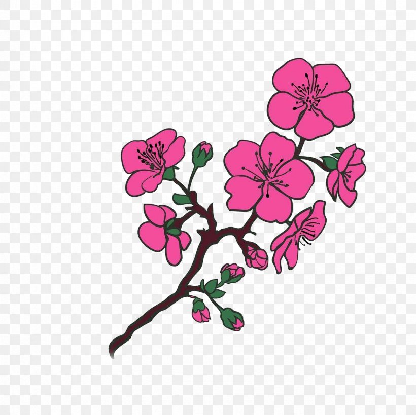 Cherry Blossom Tree Photography, PNG, 2362x2362px, Cherry Blossom, Blossom, Branch, Cherry, Cherry Plum Download Free