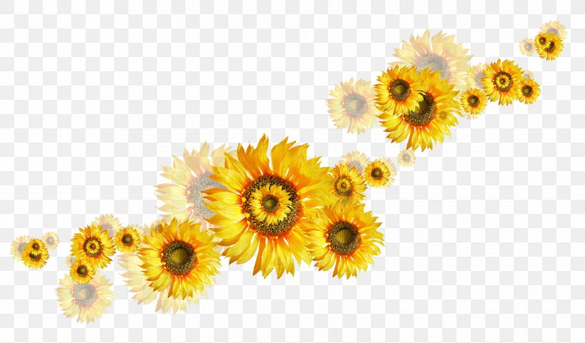 Common Sunflower Clip Art, PNG, 2638x1550px, Common Sunflower, Daisy Family, Depositfiles, Diary, Floral Design Download Free