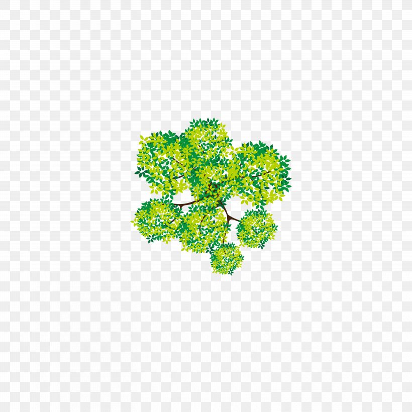 Tree Euclidean Vector Adobe Illustrator, PNG, 6250x6250px, Tree, Computer Graphics, Flora, Floral Design, Flower Download Free