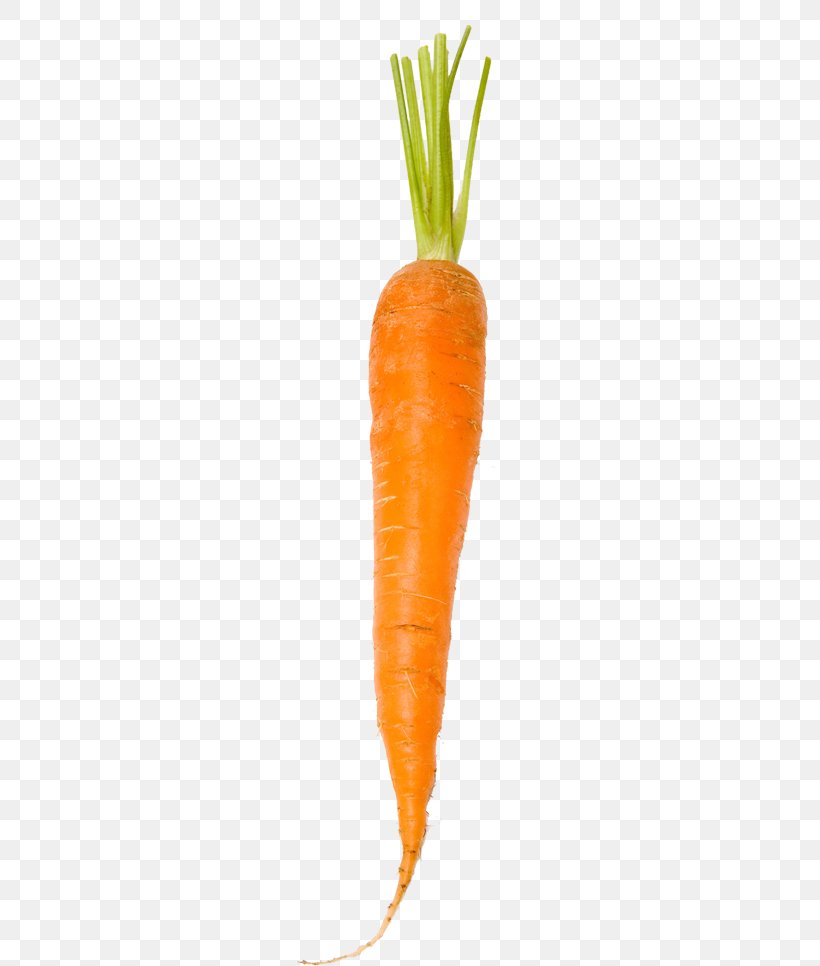 Baby Carrot White, PNG, 357x966px, Baby Carrot, Carrot, Food, Vegetable, White Download Free