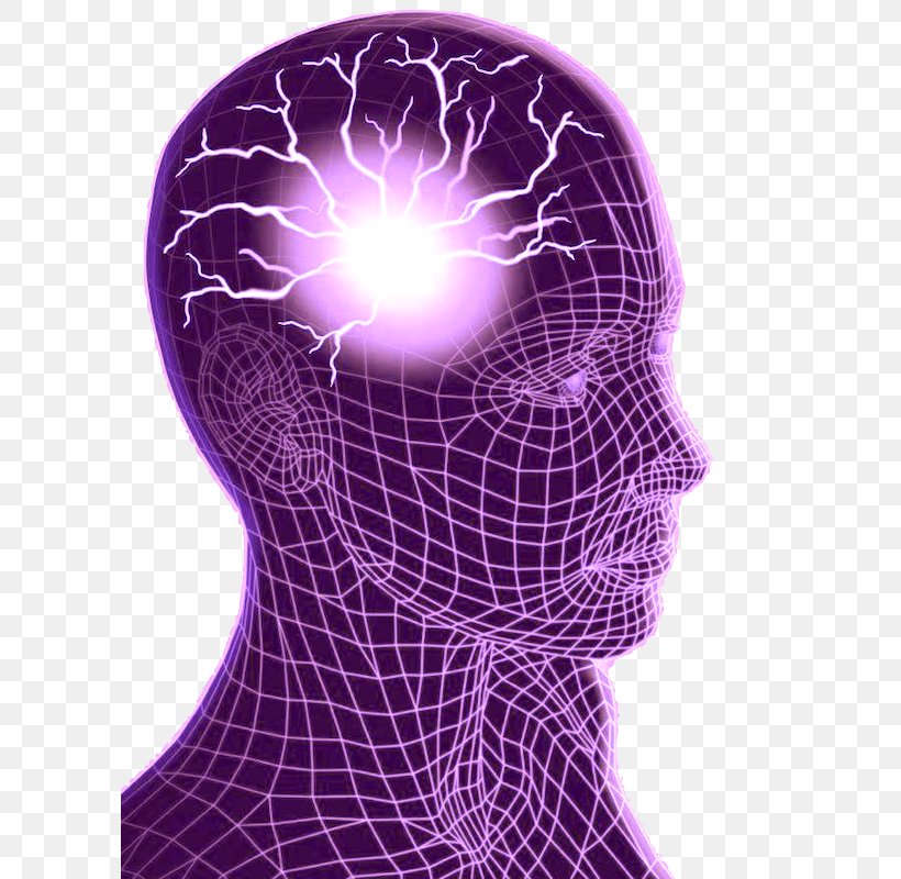 Epilepsy Epileptic Seizure Brain Reflex Seizure Seizure Types, PNG,  600x800px, Watercolor, Cartoon, Flower, Frame, Heart Download
