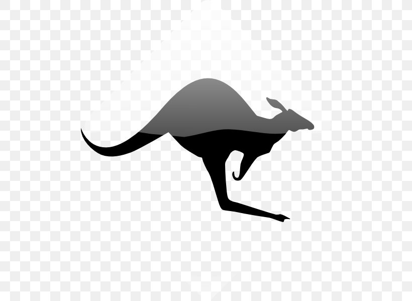 Koala Red Kangaroo Australia Clip Art, PNG, 498x599px, Koala, Australia, Black, Black And White, Carnivoran Download Free