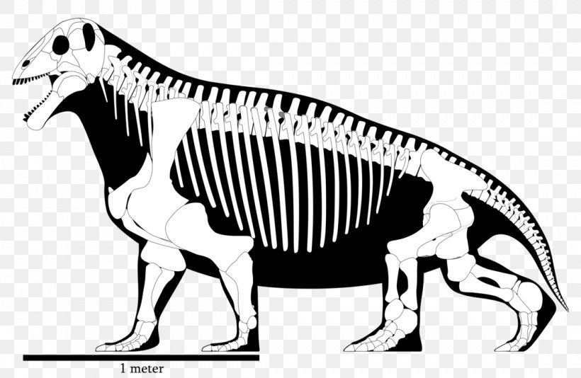 Moschops Skeleton Permian Animal Tapinocephalia, PNG, 1107x722px, Moschops, Animal, Artwork, Beak, Black And White Download Free