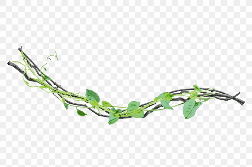 Plant Stem Twig Leaf Plants Plant Structure, PNG, 1920x1280px, Watercolor, Biology, Leaf, Paint, Plant Stem Download Free