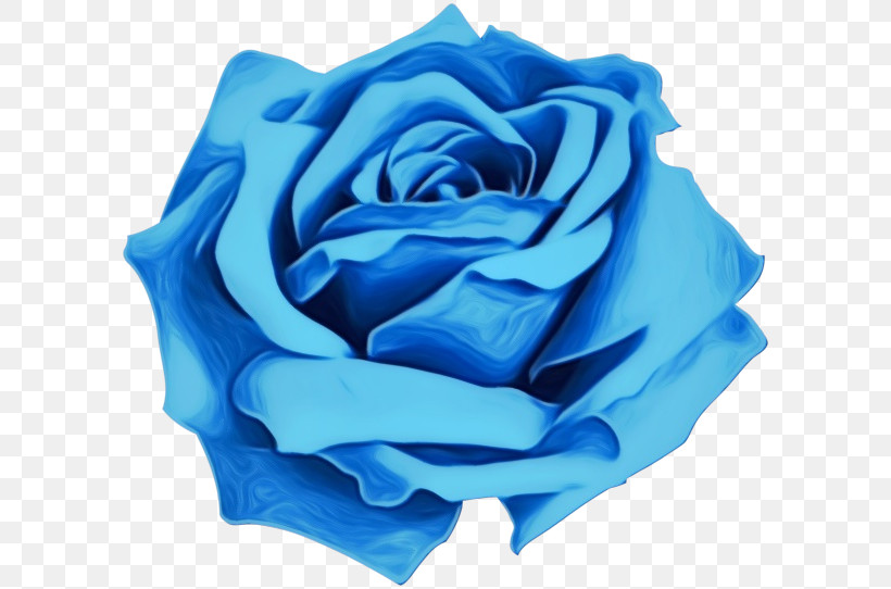 Blue Rose, PNG, 600x542px, Watercolor, Blue, Blue Rose, Cut Flowers, Flower Download Free