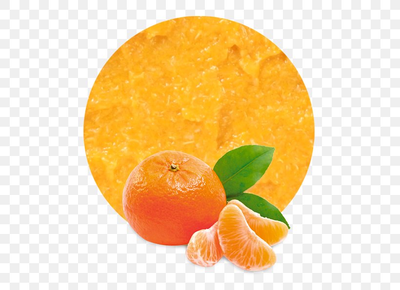 Marmalade Juice Mandarin Orange Tangerine Satsuma Mandarin, PNG, 536x595px, Marmalade, Blood Orange, Cara Cara Navel, Citric Acid, Citrus Download Free