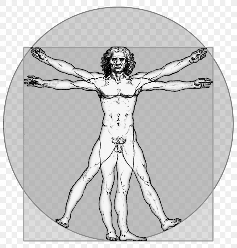 Vitruvian Man Homo Sapiens Person, PNG, 877x915px, Watercolor, Cartoon, Flower, Frame, Heart Download Free