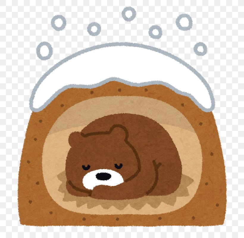 Bear Hibernation Giant Panda Winter, PNG, 800x800px, Bear, Aestivation, Atmospheric Temperature, Brown, Carnivoran Download Free