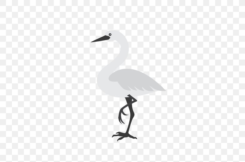 Bird Crane Duck Goose Beak, PNG, 569x544px, Bird, Anatidae, Beak, Black, Black And White Download Free