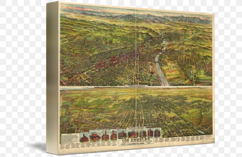 Los Angeles Library Of Congress Map Poster, PNG, 650x533px, Los Angeles, California, Canvas, Canvas Print, Grass Download Free
