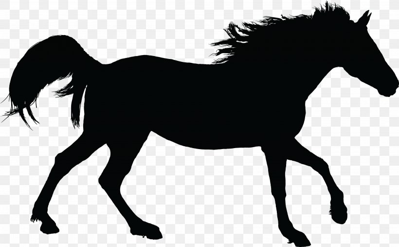 Mustang American Paint Horse Arabian Horse Stallion Clip Art, PNG, 4000x2477px, Mustang, American Paint Horse, Arabian Horse, Black, Black And White Download Free