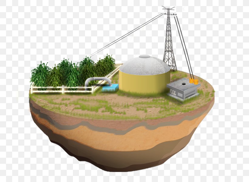 Biomass Geothermal Energy Biofuel Biodiesel, PNG, 800x600px, Biomass, Alternative Energy, Biodiesel, Biofuel, Energetics Download Free