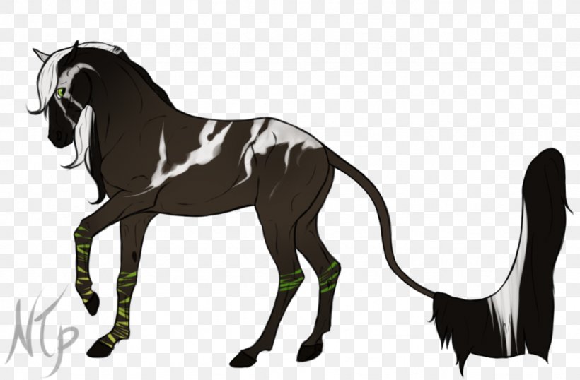 Mustang Mane Stallion Pony Foal, PNG, 1024x673px, Mustang, Art, Bit, Bridle, Colt Download Free