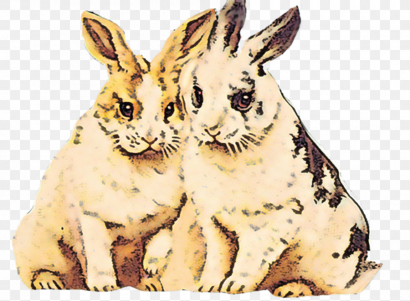 Rabbit Rabbits And Hares Hare Animal Figure Wood Rabbit, PNG, 900x661px, Rabbit, Animal Figure, Hare, Rabbits And Hares, Snout Download Free