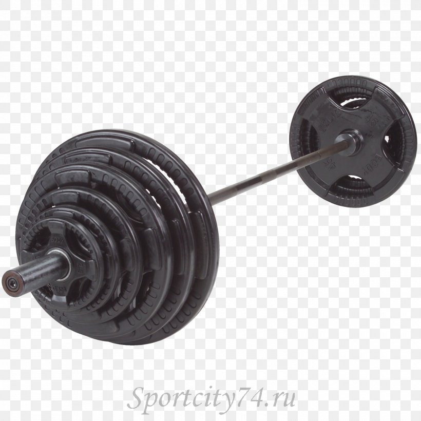 Weight Plate Bench Weight Training Human Body, PNG, 1500x1500px, Weight Plate, Barbell, Bench, Chrome Plating, Endurance Download Free