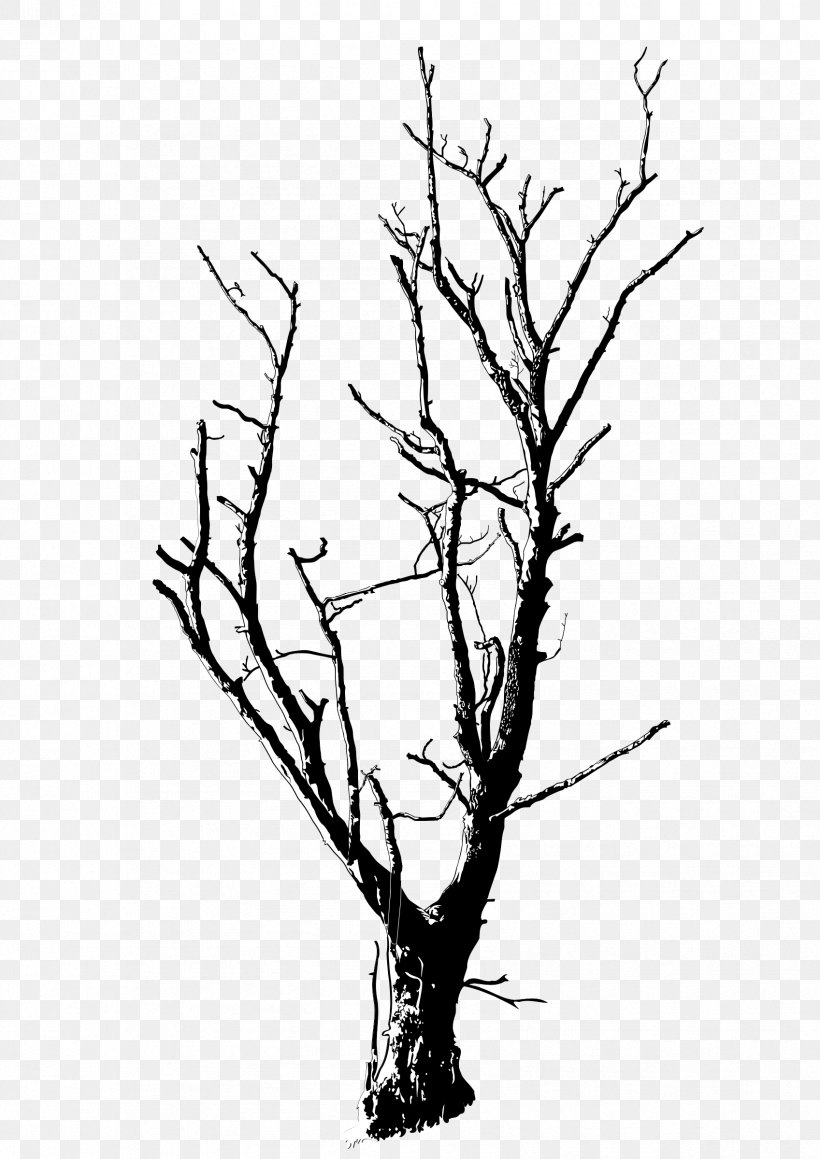 Drawing Branch Silhouette Tree Clip Art, PNG, 1697x2400px, Drawing, Art, Black And White, Branch, Death Download Free