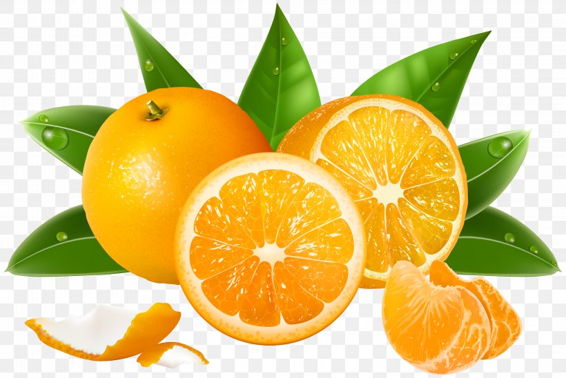 Juice Lemon Grapefruit Orange, PNG, 4545x3038px, Malta, Auglis, Berry, Bitter Orange, Chenpi Download Free