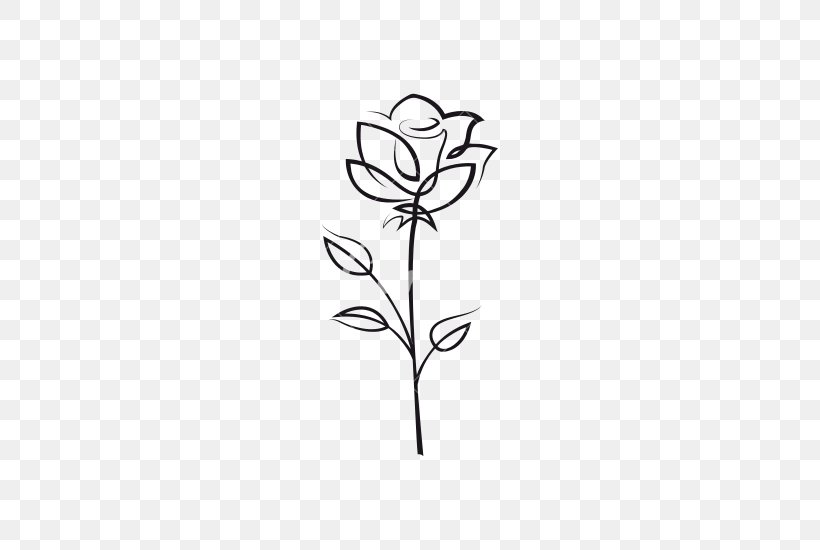 Rose Drawing Flower Clip Art, PNG, 550x550px, Rose, Black And White, Black Rose, Branch, Color Download Free