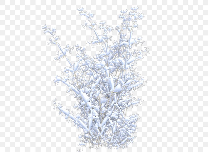 Winter Lavender Sky Plc, PNG, 600x600px, Winter, Branch, Lavender, Plant, Sky Download Free