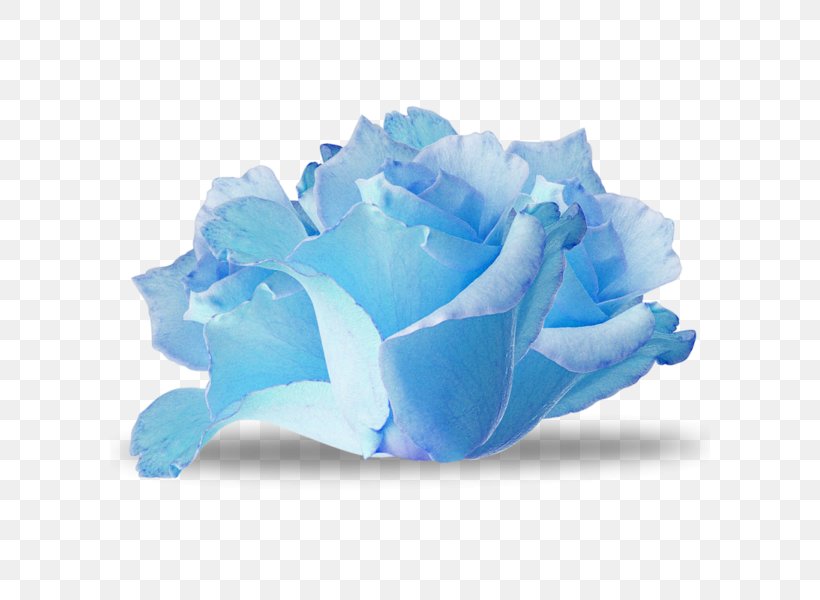 Blue Rose Flower Paper, PNG, 600x600px, Blue Rose, Aqua, Blue, Blue Flower, Color Download Free